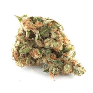 girl scout cookies near me for sale