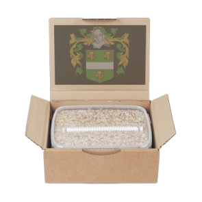 Buy Magic Mushroom Grow Kit B+