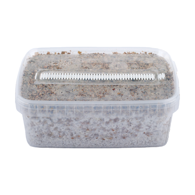 mycelbox_pi_2_7 Magic Mushroom Grow Kit B+ XL by Mondo®