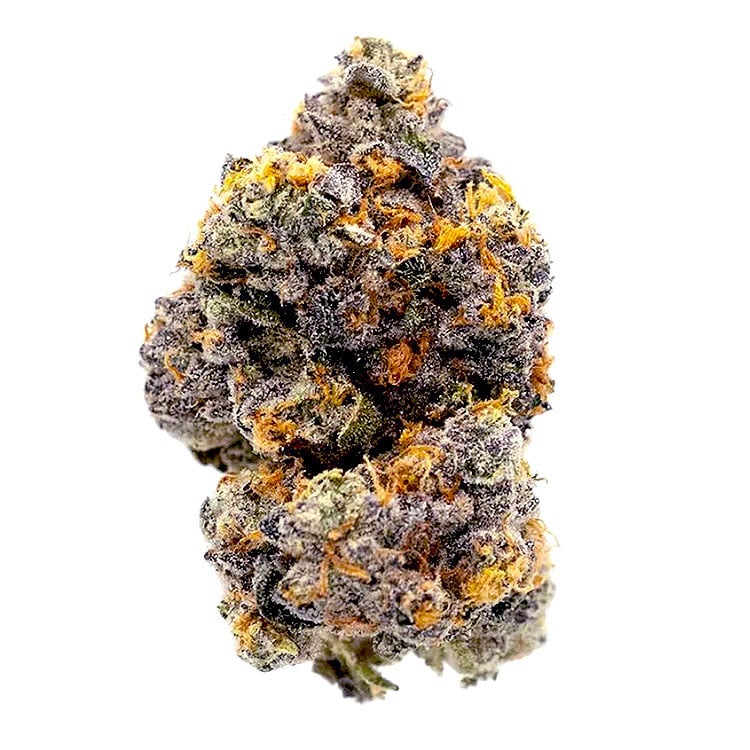 Gary Payton strain pic