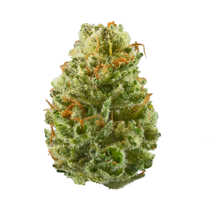 Strawberry cough weed strains