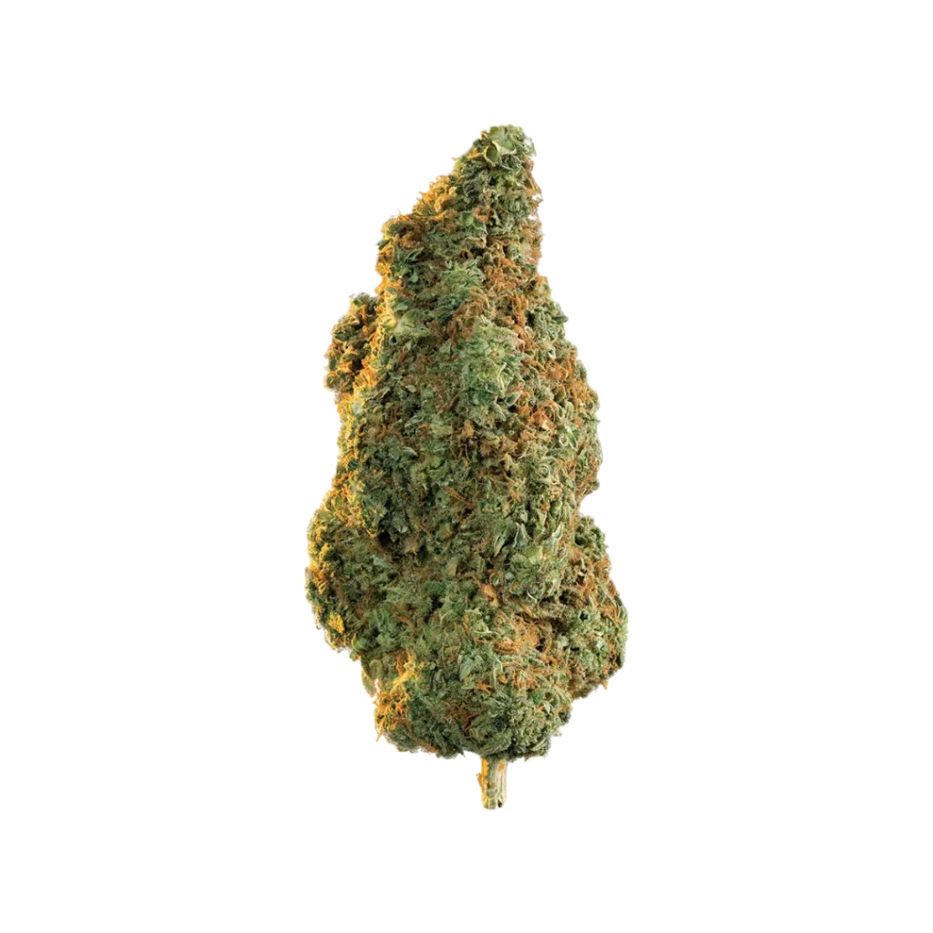 gorilla glue #4 strain