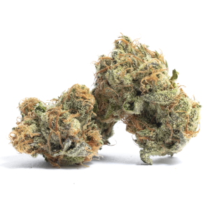 buy peyote cookies strain online